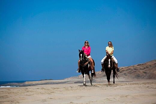 Horseback Riding